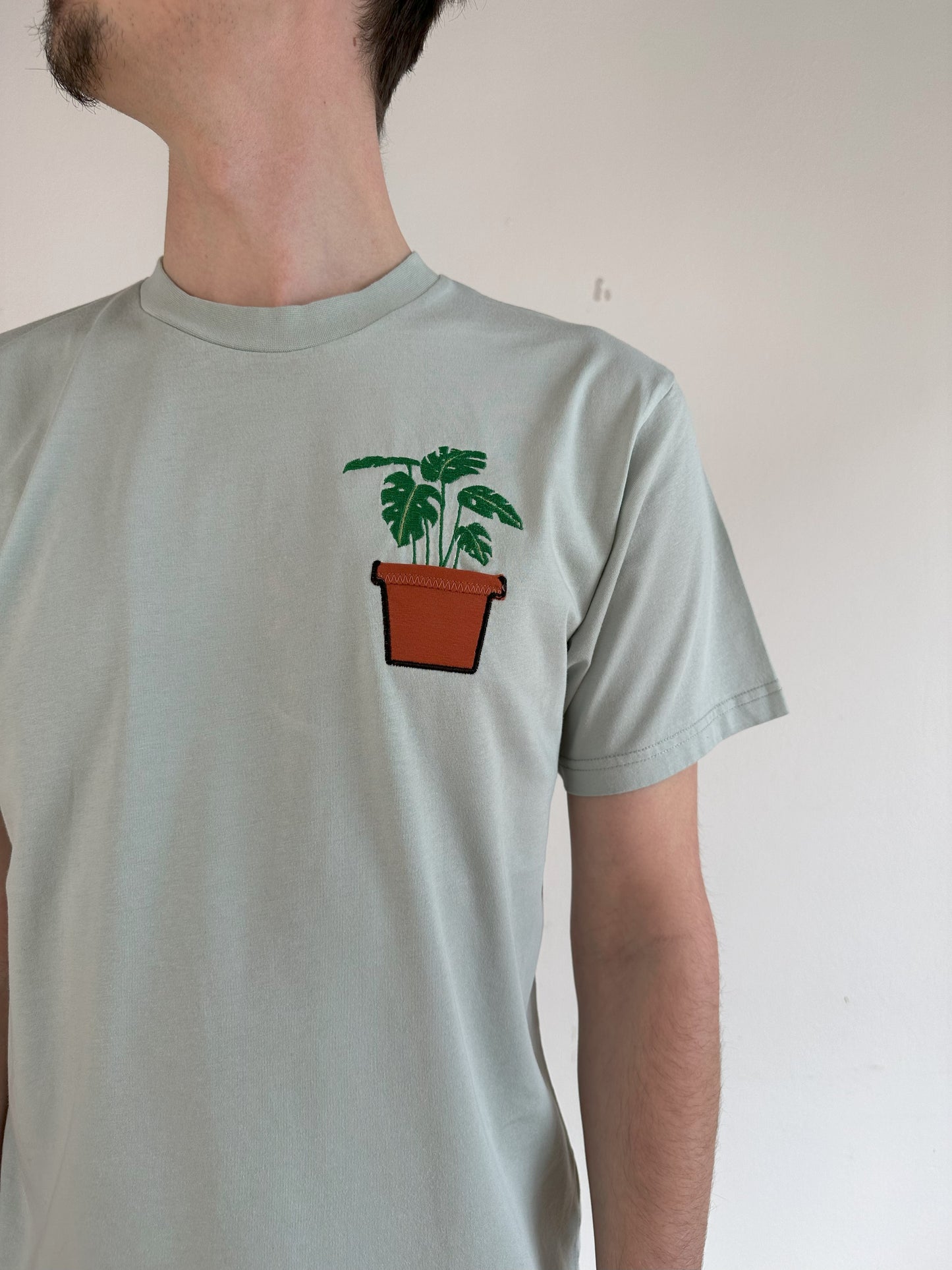 Monstera-Pflanze im Brusttaschentopf