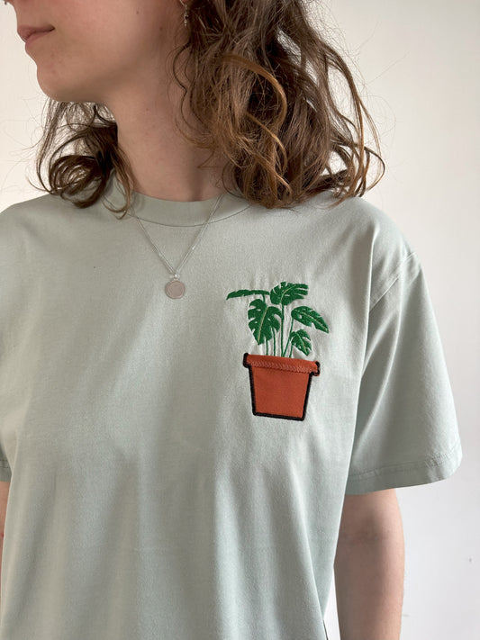 Monstera-Pflanze im Brusttaschentopf