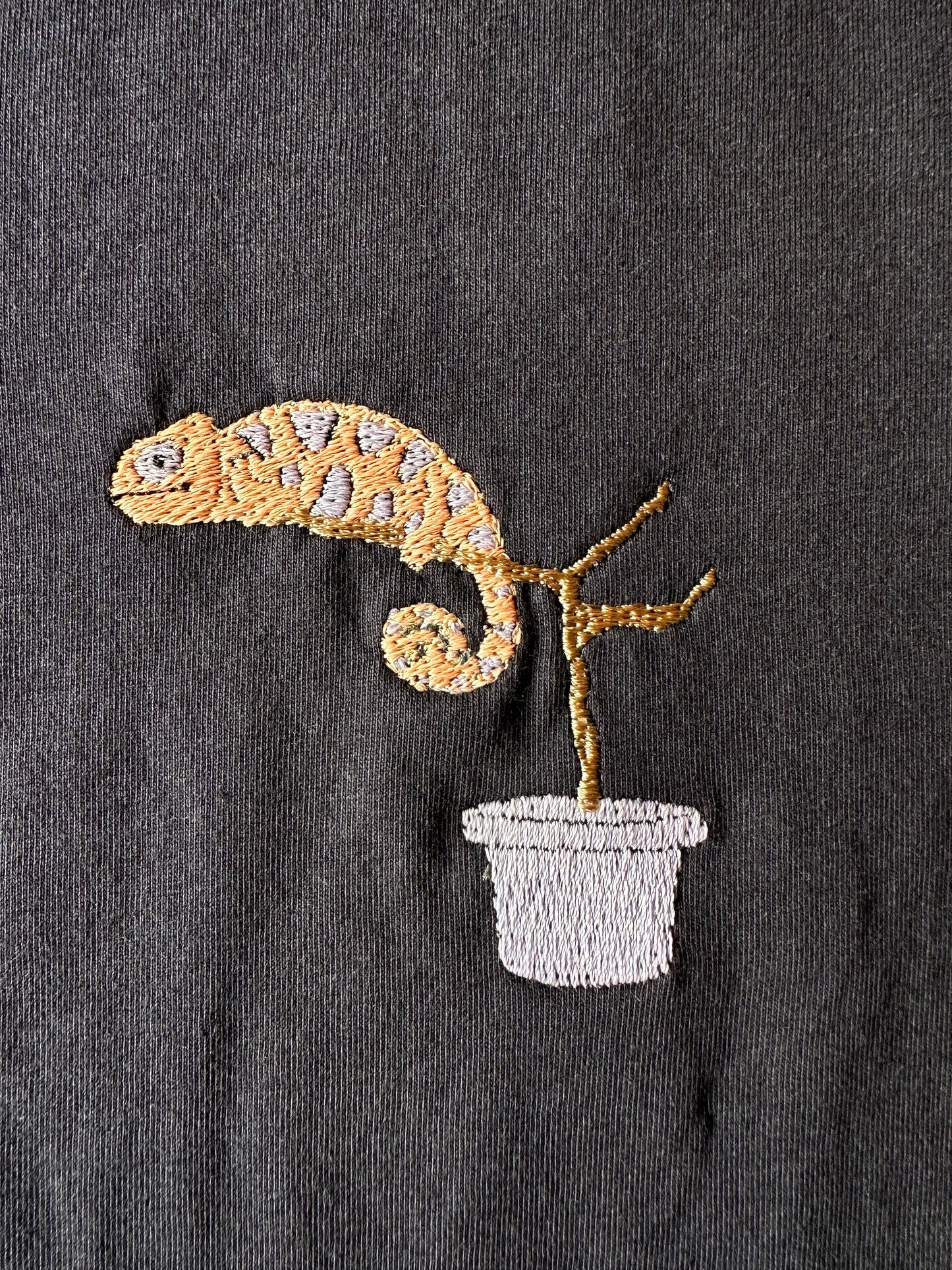 Chamäleon (farbwechselndes Garn)