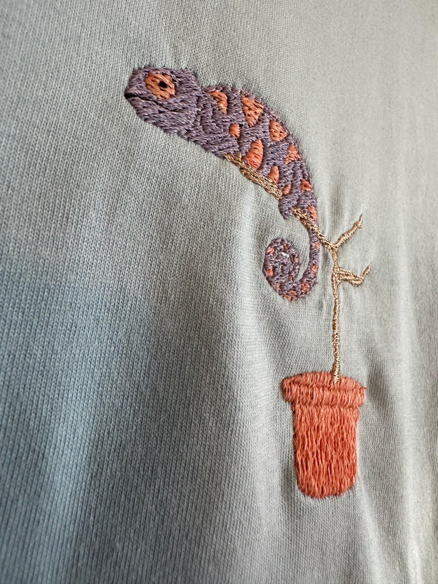 Chamäleon (farbwechselndes Garn)