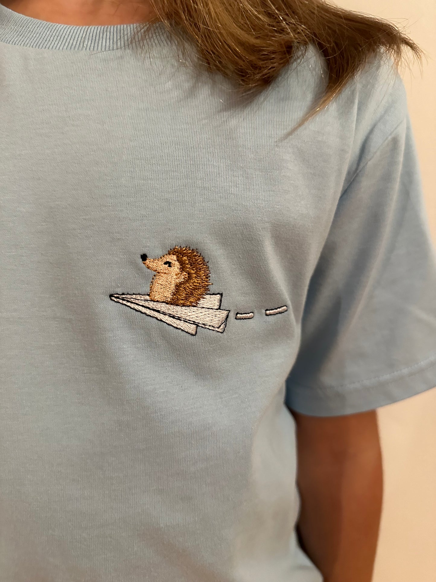 Igel auf Papierflieger