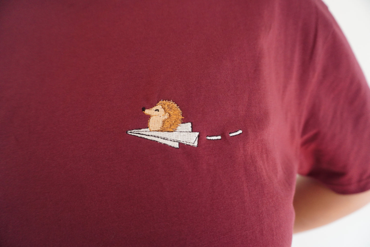 Igel auf Papierflieger