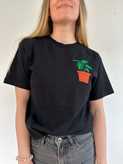 Monstera-Pflanze im Brusttaschentopf