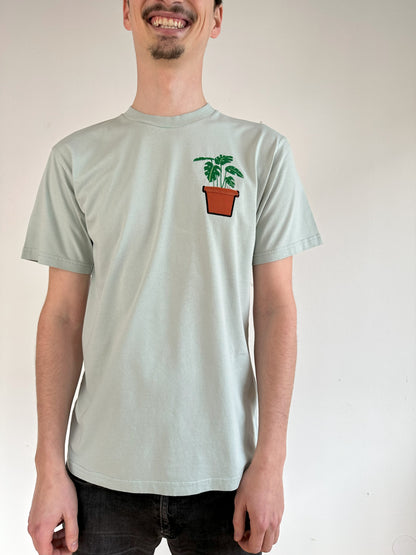 Monstera-Pflanze im Brusttaschentopf