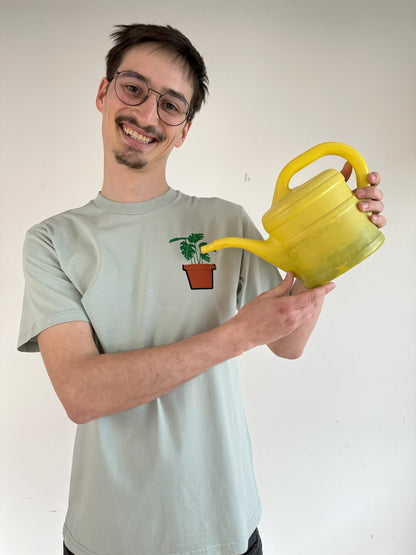 Monstera-Pflanze im Brusttaschentopf