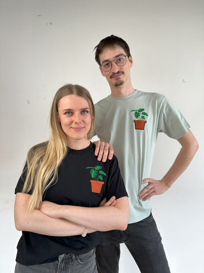 Monstera-Pflanze im Brusttaschentopf