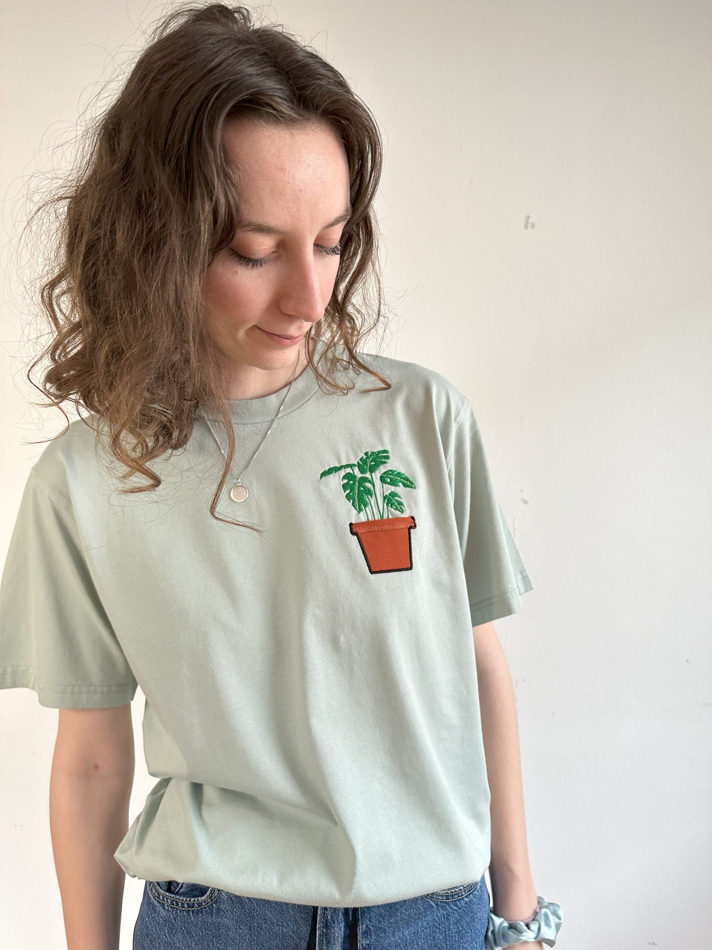 Monstera-Pflanze im Brusttaschentopf