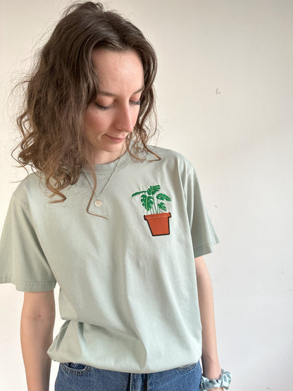 Monstera-Pflanze im Brusttaschentopf