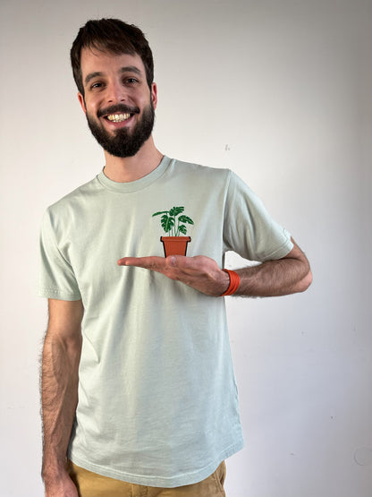 Monstera-Pflanze im Brusttaschentopf