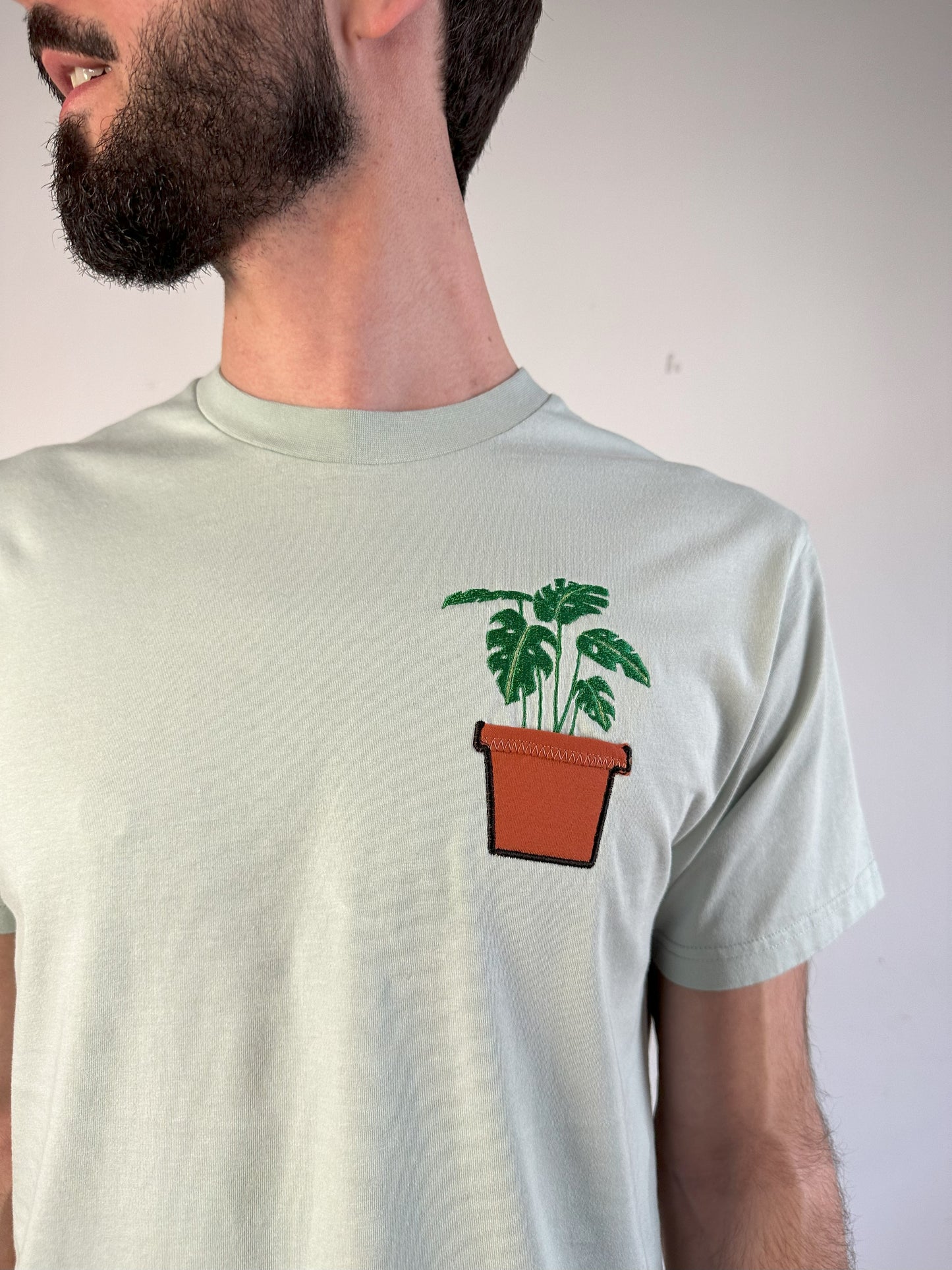 Monstera-Pflanze im Brusttaschentopf