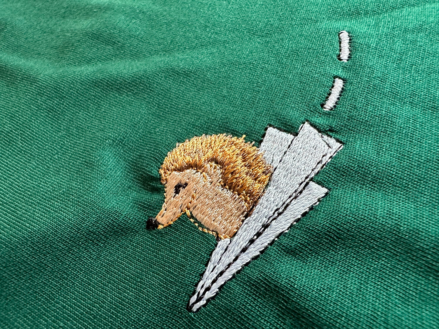 Igel auf Papierflieger