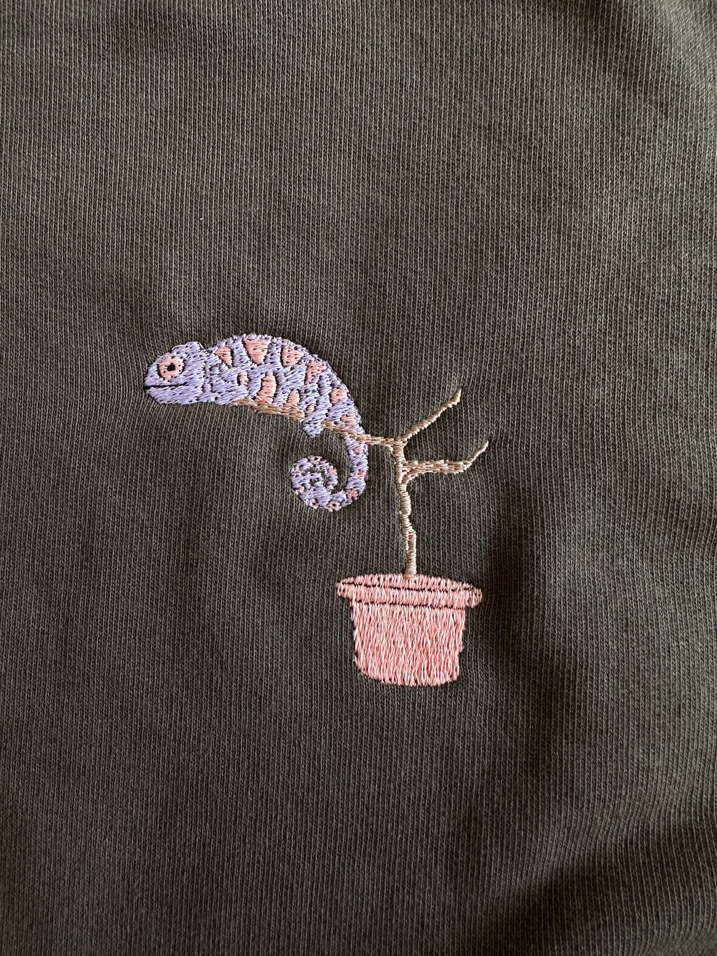 Chamäleon (farbwechselndes Garn)