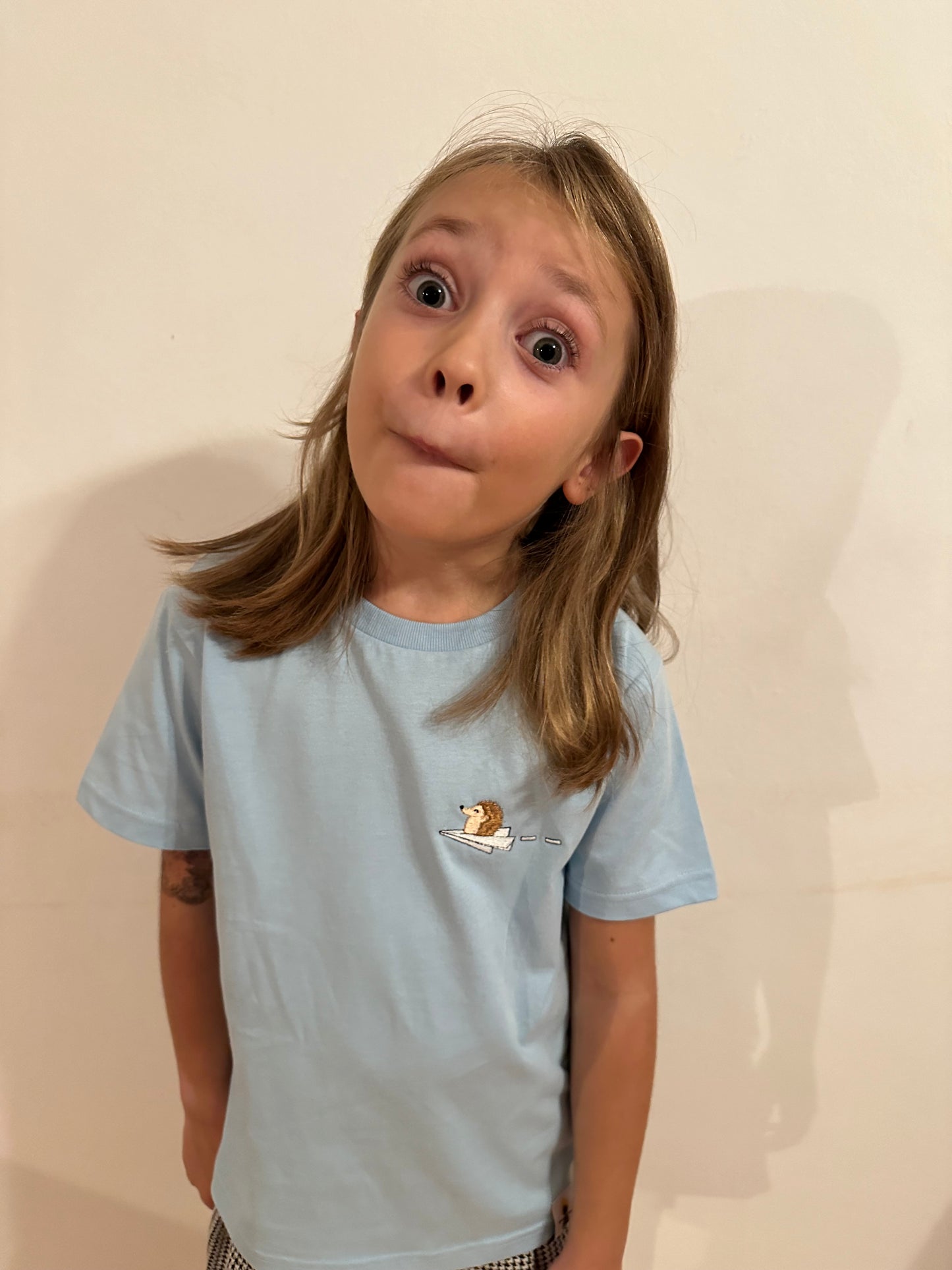 Igel auf Papierflieger