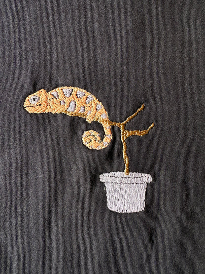 Chamäleon (farbwechselndes Garn)