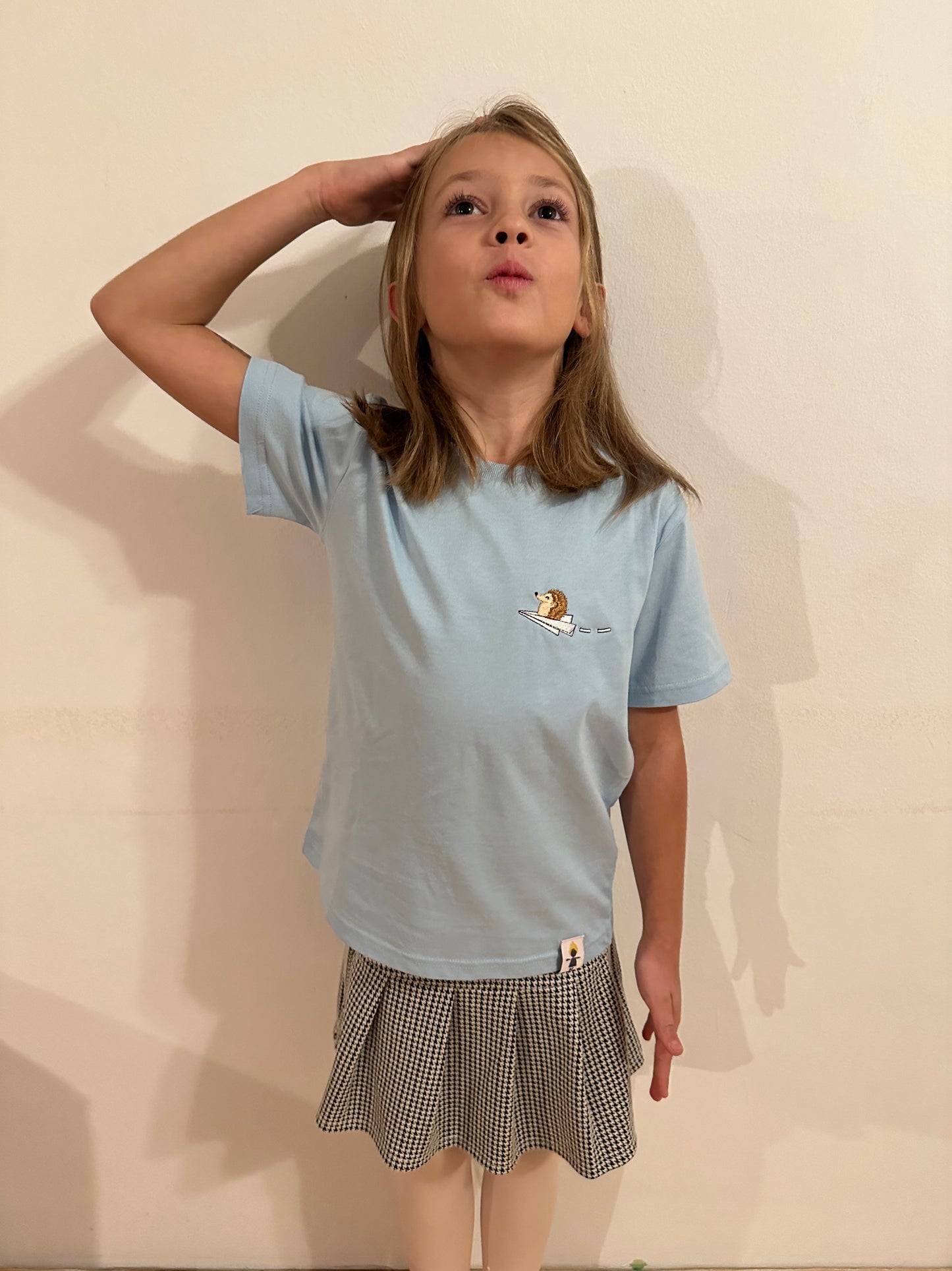 Igel auf Papierflieger