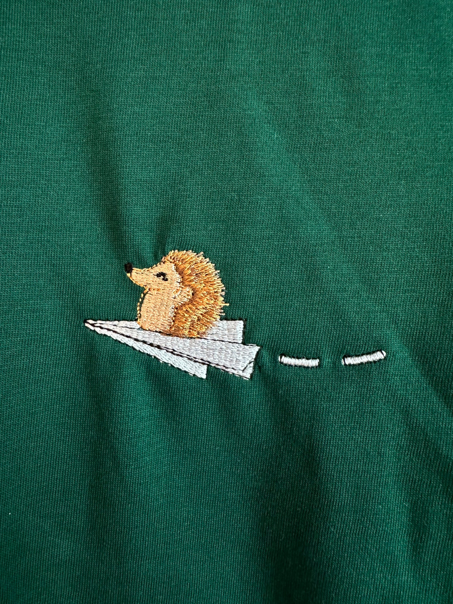 Igel auf Papierflieger