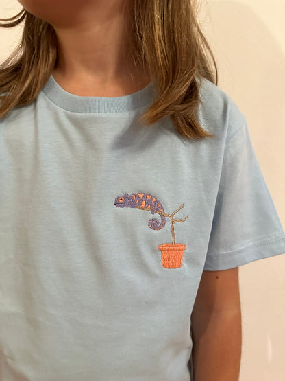 Chamäleon (farbwechselndes Garn)