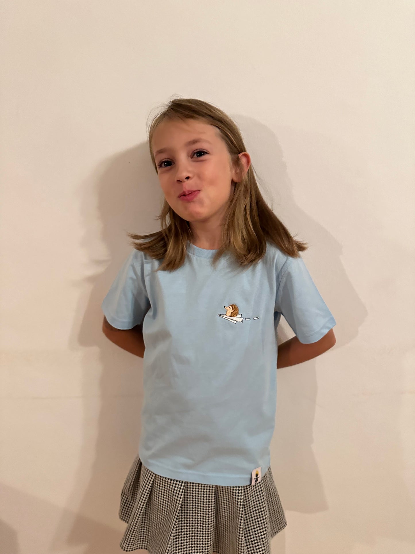 Igel auf Papierflieger