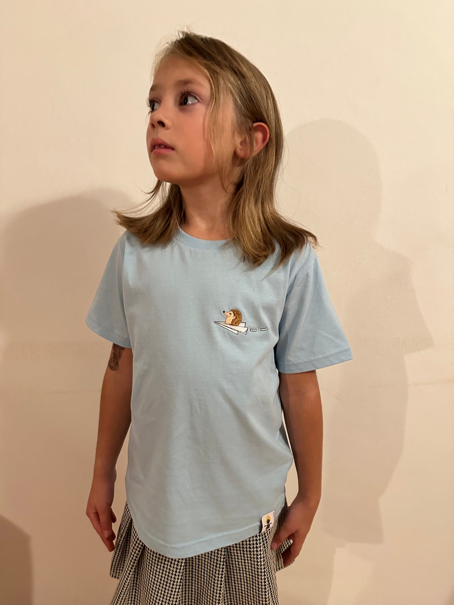 Igel auf Papierflieger