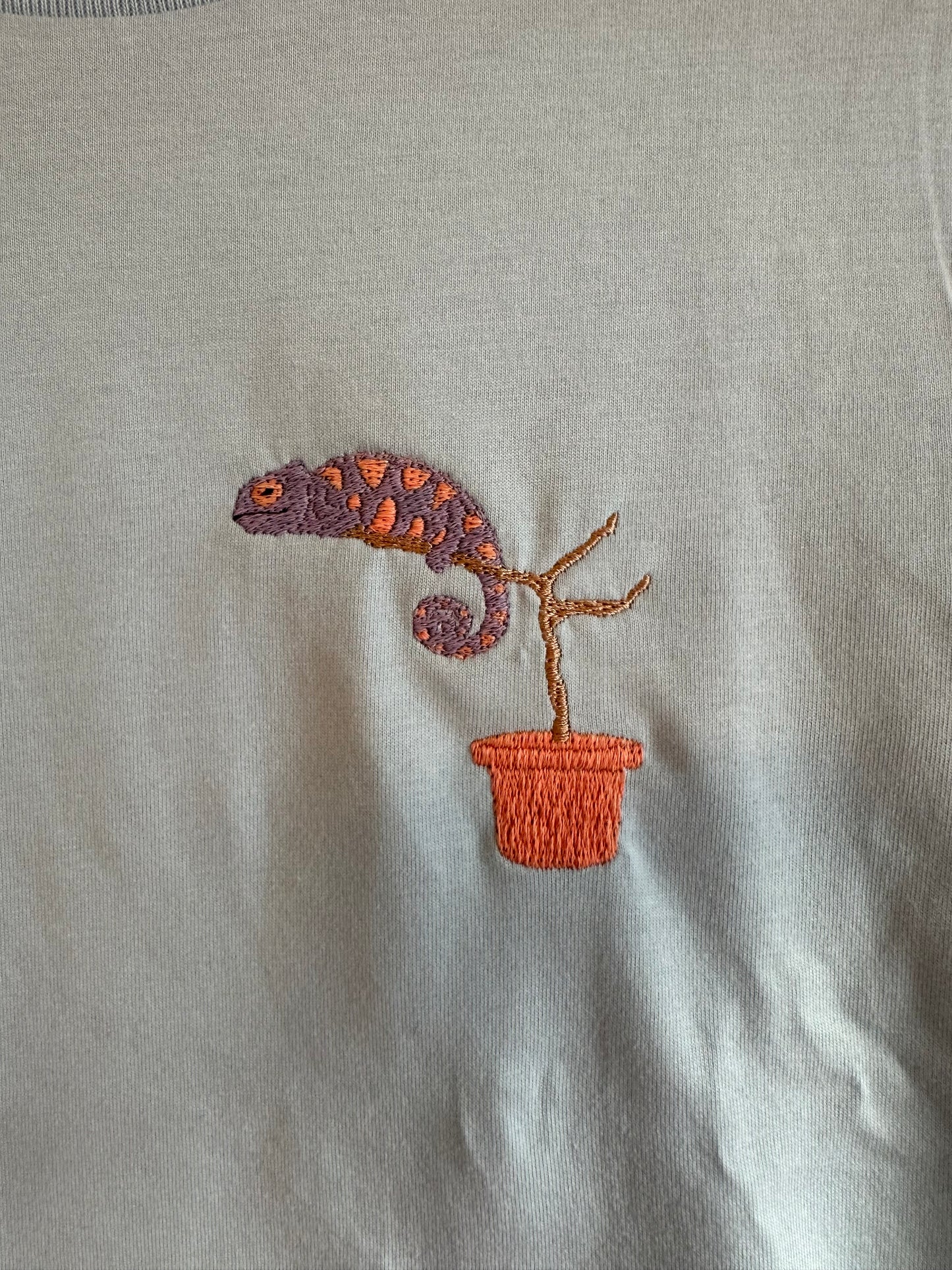 Chamäleon (farbwechselndes Garn)