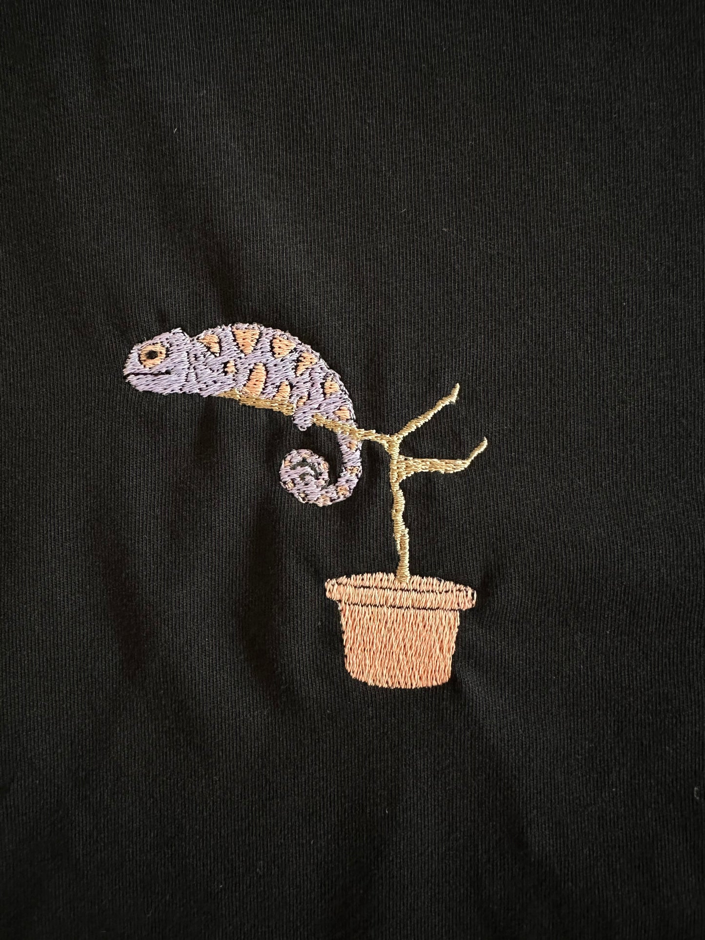 Chamäleon (farbwechselndes Garn)