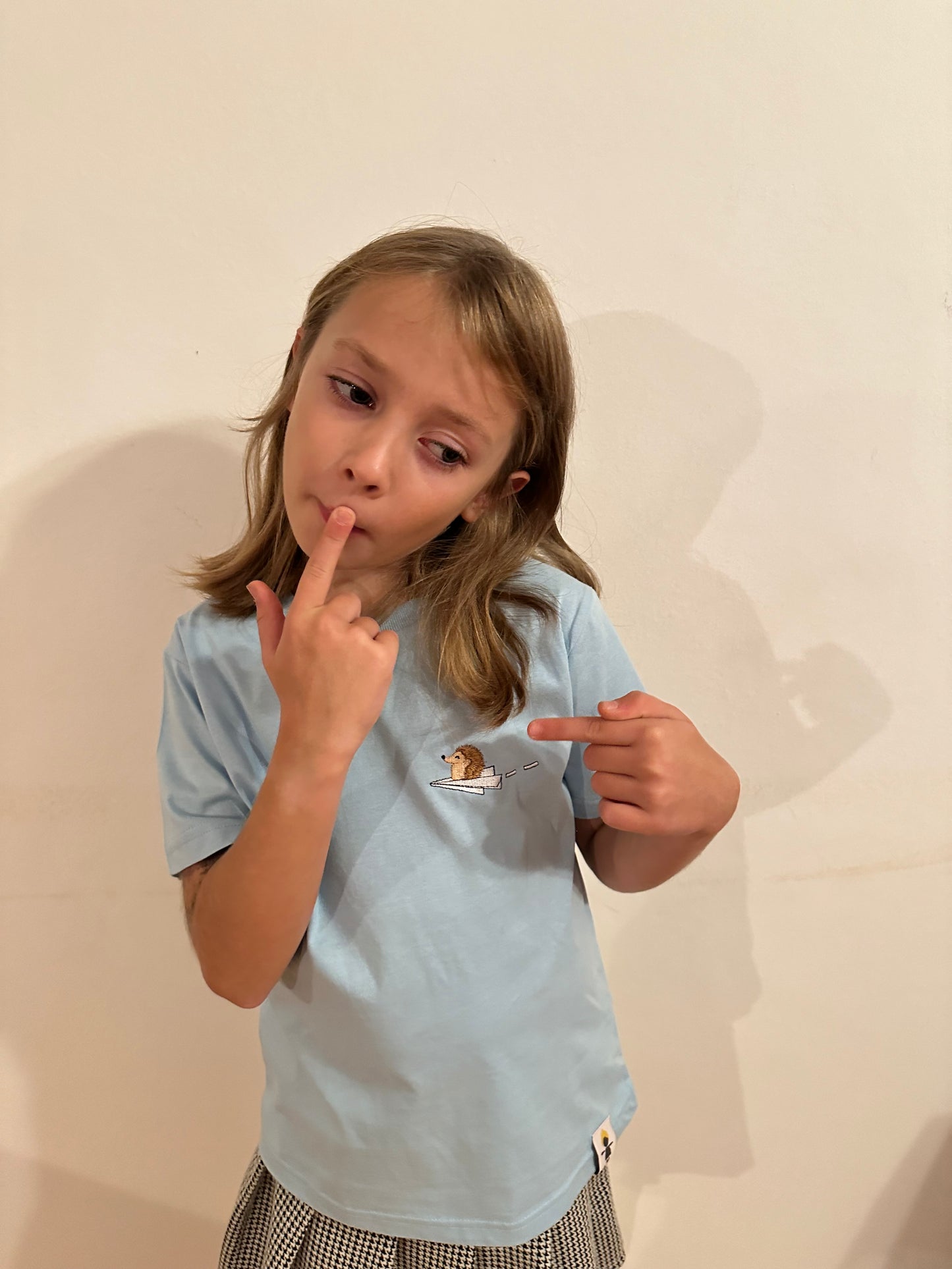 Igel auf Papierflieger