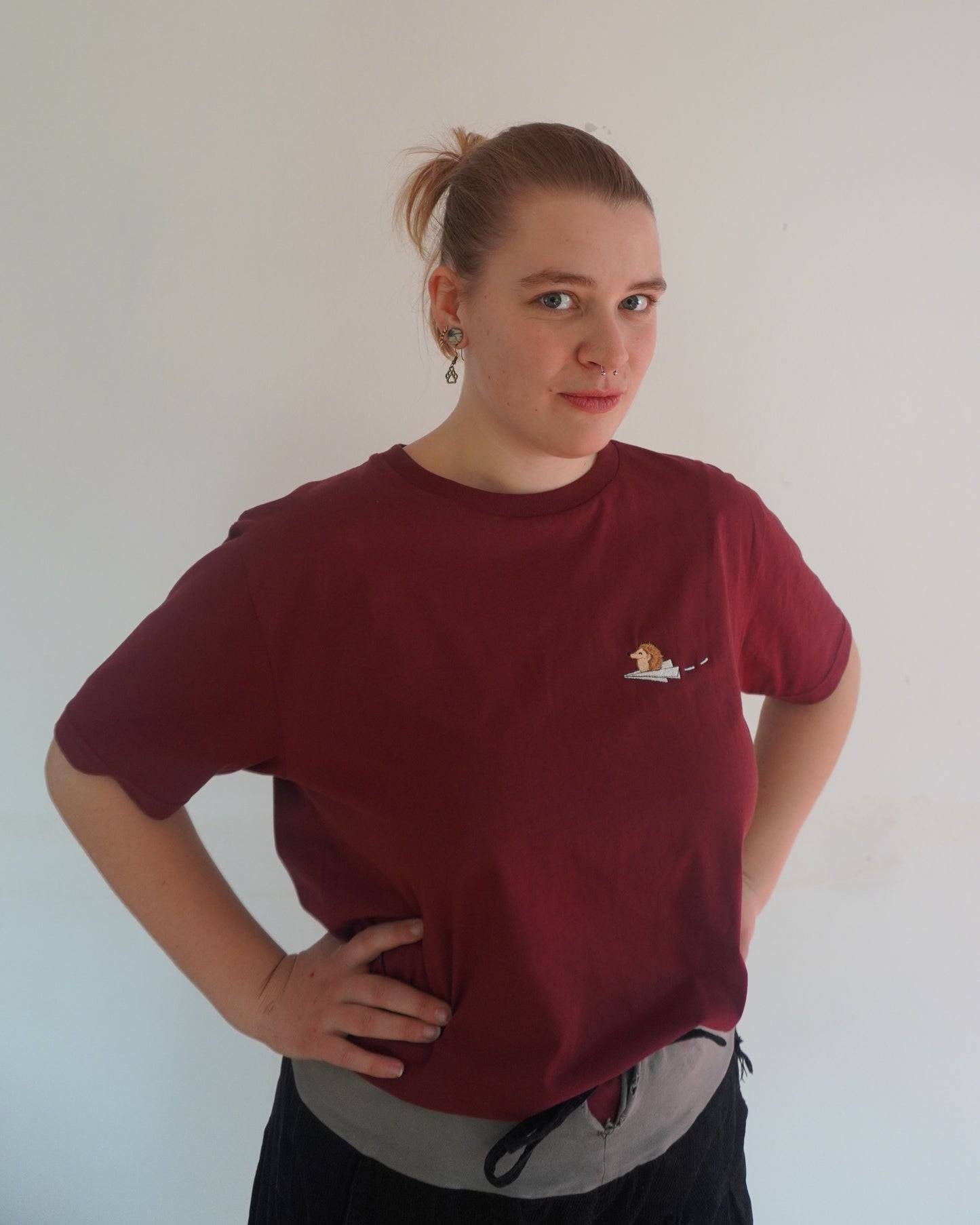 Igel auf Papierflieger