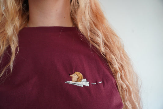 Igel auf Papierflieger