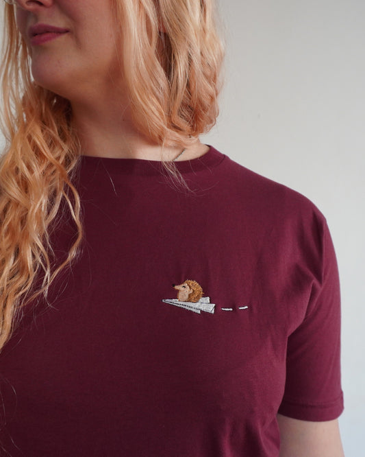 Willi der Igel auf dem Papierflieger