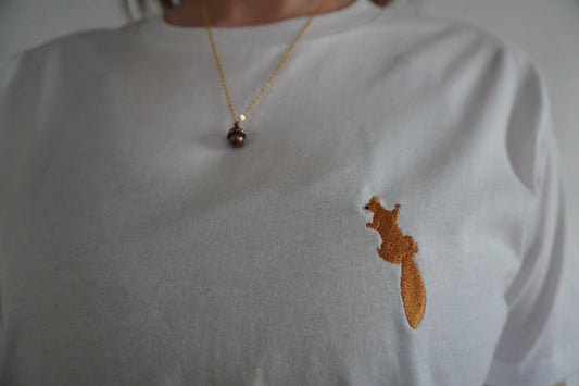 Eichhörnchen klettert