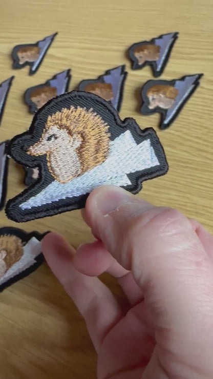 Patch Willi - Der Igel auf dem Papierflieger